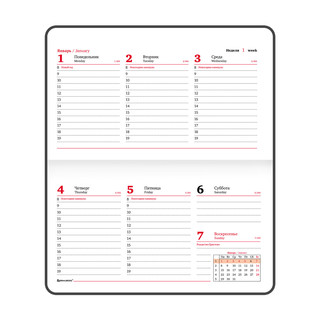 Еженедельник-планер на 2024г А6 'Rainbow' под кожу, сиреневый 14