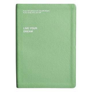 Ежедневник на 2024г 'Dream' А5, 176 листов, мягкая обложка, зеленый