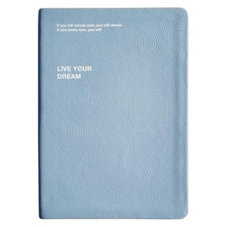 Ежедневник на 2024г 'Dream' А5, 176 листов, мягкая обложка, голубой