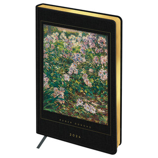 Ежедневник 2024 'High Art. Donoho' А5, тонированный блок 4