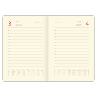 Ежедневник 2024 'High Art. Reid' А5, тонированный блок 6