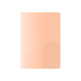 Папка-уголок А4, пластик, 'Matt Pastel Bloom' с 2 карманами, ассорти. Цена за 1 шт. 6