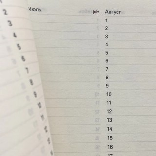 Ежедневник 'Tokyo' А5, недатированный, черный 9