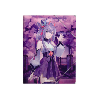 Папка на резинках, А4, пластик 'Manga' 3