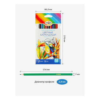 Карандаши цветные Гамма 'Классические' 12 цветов, заточенные, картонная упаковка 4