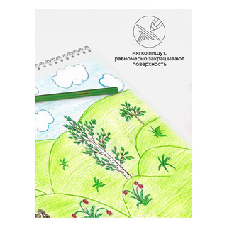 Карандаши цветные Гамма 'Классические' 12 цветов, заточенные, картонная упаковка 5