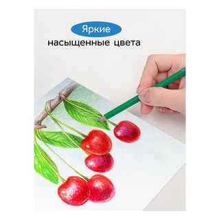 Карандаши цветные Гамма 'Классические' 12 цветов, заточенные, картонная упаковка 7