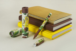 Ручка шариковая DreamWrite 'Flora.Bloom flowers' 0.7 мм, в футляре, в ассортименте 9