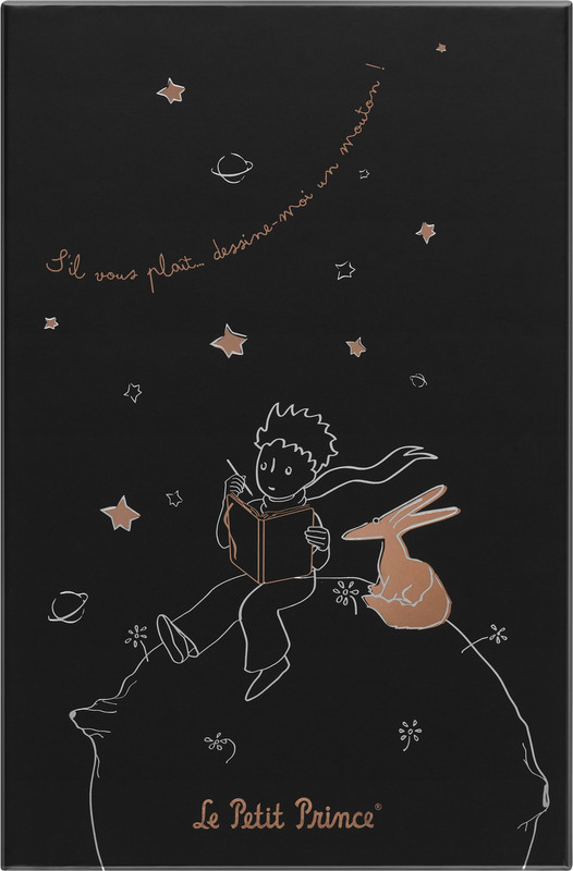 Блокнот Moleskine LIMITED EDITION PETIT PRINCE