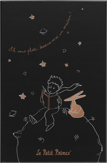 Блокнот Moleskine LIMITED EDITION PETIT PRINCE 1
