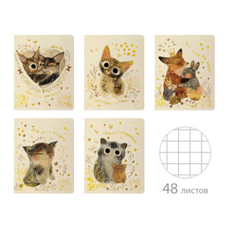 Тетрадь А5 'Любовь как она есть' 48 листов, клетка, в ассорти...