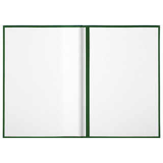 Папка адресная А4 с гербом России, зеленая, бумвинил, Basic 3