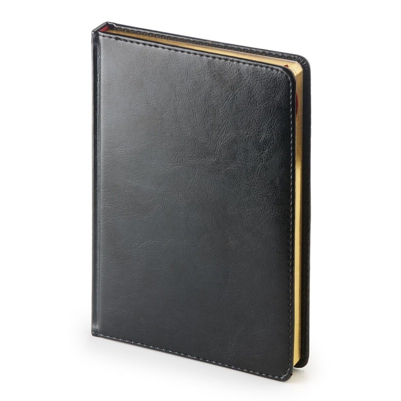 Ежедневник датированный 2024, А5+, Sidney Nebraska, 336 страниц, черный