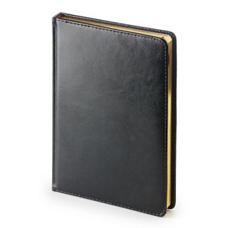 Ежедневник датированный 2024, А5+, Sidney Nebraska, 336 страниц, черный 1