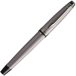 Ручка перьевая Waterman Expert DeLuxe, Metallic Silver RT (Перо M) 2