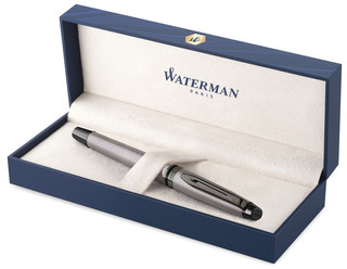 Ручка перьевая Waterman Expert DeLuxe, Metallic Silver RT (Перо M) 3