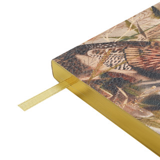 Ежедневник недатированный А5 'Fauna. Птицы' 256 страниц 4