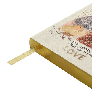 Ежедневник недатированный А5 'Любовь, как она есть' 256 страниц 4