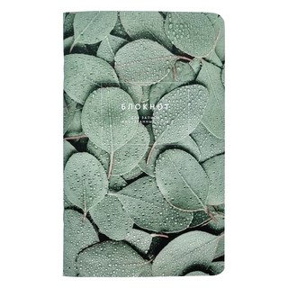 Блокнот для записи иностранных слов 'Botanica. Эвкалипт попул...