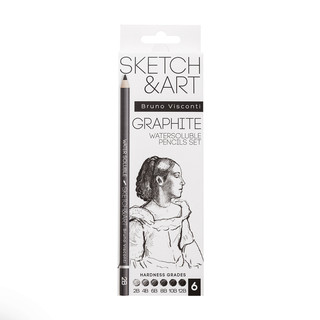 Набор из 6-ти акварельных чернографитовых карандашей 'Sketch&Art'