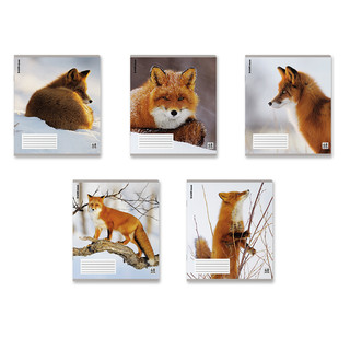 Тетрадь А5, 48 листов, клетка, на скобе, пластиковая обложка,...