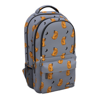 Рюкзак ErichKrause ActiveLine Ergoback, три отделения, 22л, Капибара