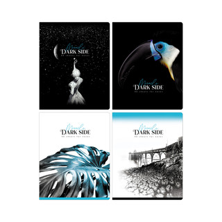 Тетрадь А5, 96 листов, клетка, BG 'Dark miracle', ассорти, Це...