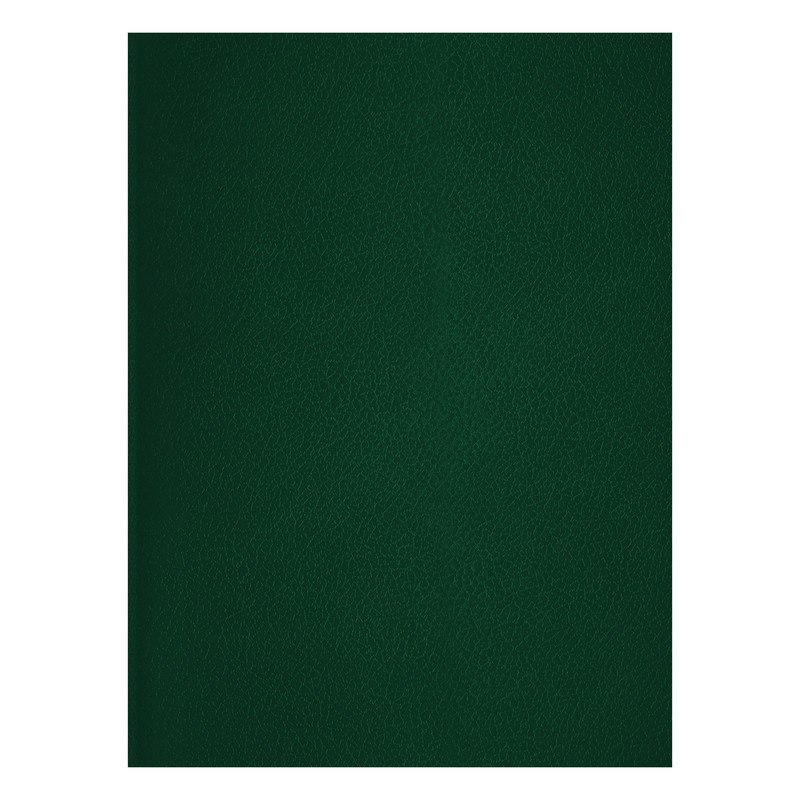 Тетрадь А4, 48 листов, клетка, BG, бумвинил, зеленый