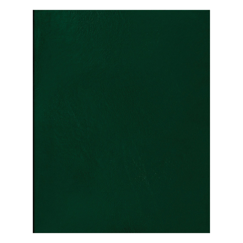 Тетрадь А5, 48 листов, клетка, бумвинил, BG, зеленый