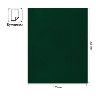 Тетрадь А5, 48 листов, клетка, бумвинил, BG, зеленый 3