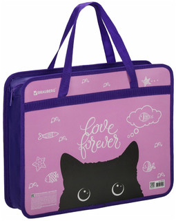 Папка с ручками 'Black Cat' А4, 1 отделение, пластик, молния ...