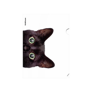 Папка-уголок А4, ErichKrause Hiding Cats, пластик, ассорти. Цена за 1 шт. 3