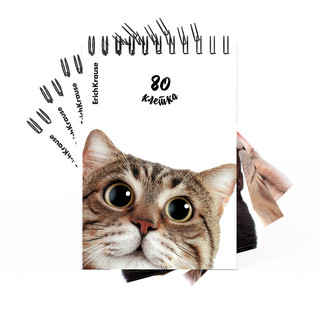 Блокнот на спирали А6, 80 листов, клетка, ErichKrause Котики,...