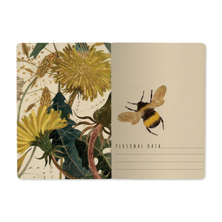 Тетрадь А5, 40 листов, клетка, 'Summer Green', BV 3