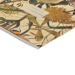 Тетрадь А5, 40 листов, клетка, 'Summer Green', BV 5