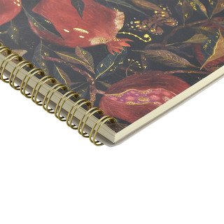 Тетрадь А5, 60 листов, на пружине, 'Гранат', BV 3