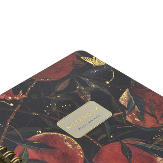 Тетрадь А5, 60 листов, на пружине, 'Гранат', BV 4