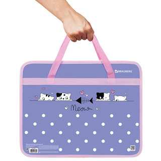 Папка сумка 'Meow' 1 отделение, А4, для тетрадей, труда, рисования, Brauberg 4