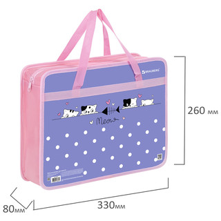 Папка сумка 'Meow' 1 отделение, А4, для тетрадей, труда, рисования, Brauberg 5