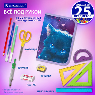 Пенал 'Anime cat' 1 отделение, 1 откидная планка, Brauberg 10