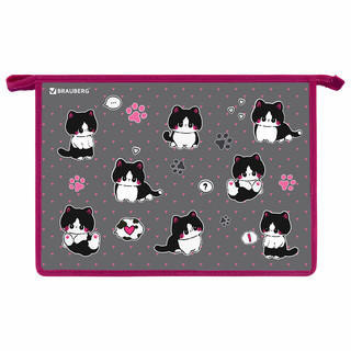 Папка для труда на молнии А4 'Cat patches', 2 отделения, орга...