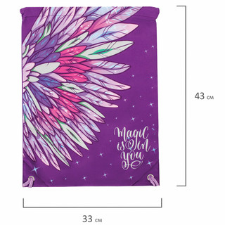 Мешок для обуви Wings, 43х33 см, карман, подкладка, светоотражающие элементы, Brauberg 7