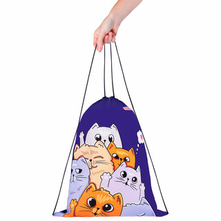 Мешок для обуви Cats greetings, 1 отделение, 42х34 см, Пифагор 4