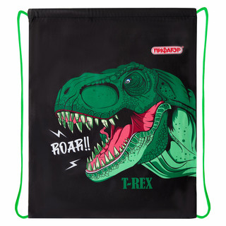 Мешок для обуви T-Rex, 1 отделение, 42х34 см, Пифагор 2