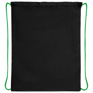 Мешок для обуви T-Rex, 1 отделение, 42х34 см, Пифагор 3