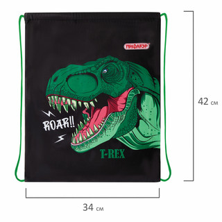 Мешок для обуви T-Rex, 1 отделение, 42х34 см, Пифагор 5
