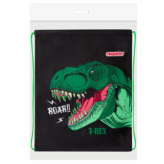 Мешок для обуви T-Rex, 1 отделение, 42х34 см, Пифагор 6
