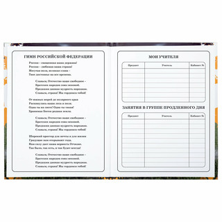 Дневник 1-4 класс 'Футбол' 48 листов, твердый, Юнландия 5