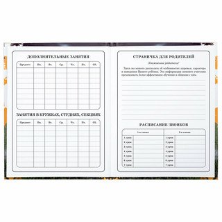 Дневник 1-4 класс 'Футбол' 48 листов, твердый, Юнландия 6