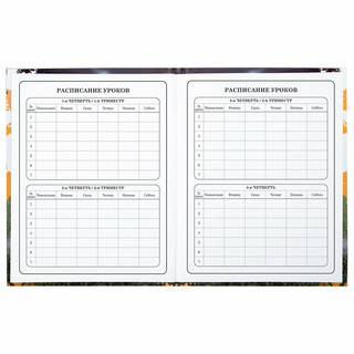 Дневник 1-4 класс 'Футбол' 48 листов, твердый, Юнландия 7